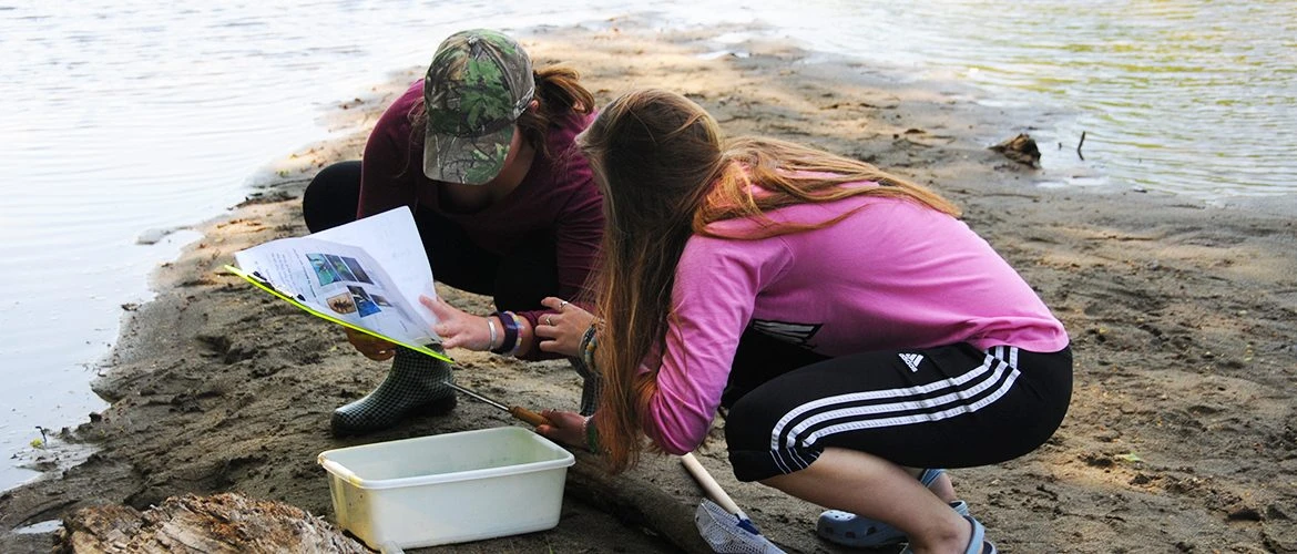 Earth and Environmental Sciences students dig on beach.