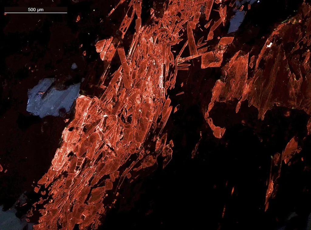 Metamorphic rock from the Beartooth Mountains in southern Montana